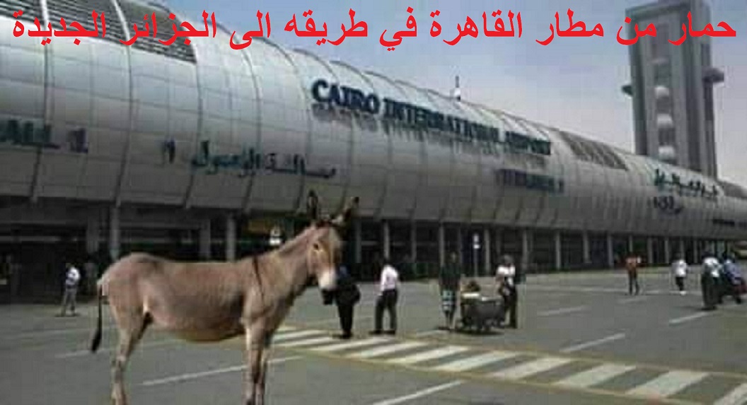 ياقوم بوصبع أبشرو اللحوم المستوردة ستكون في الأسواق قريبا